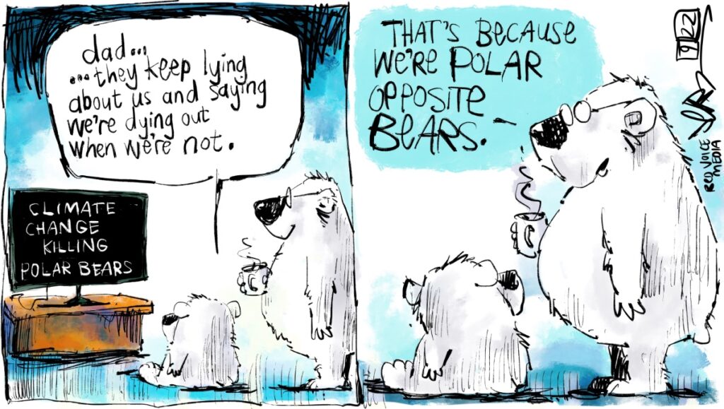 Climate change and melting ice is not killing polar bears.