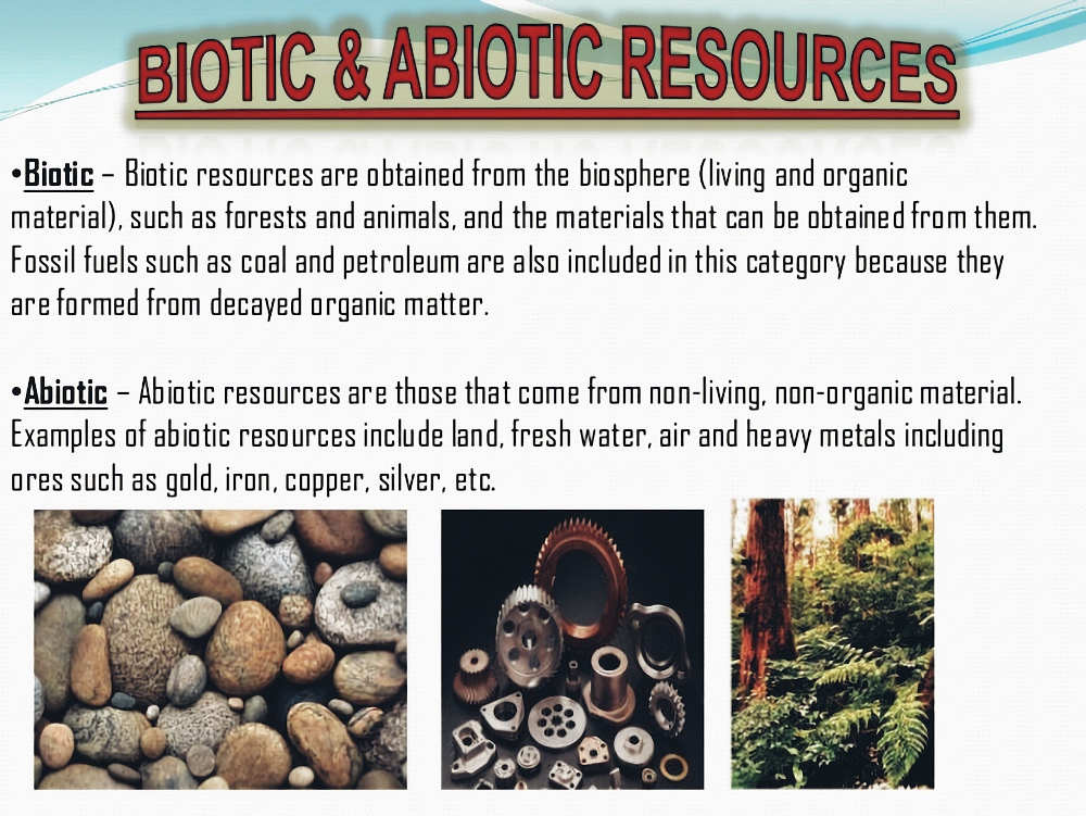 Biotic versus abiotic