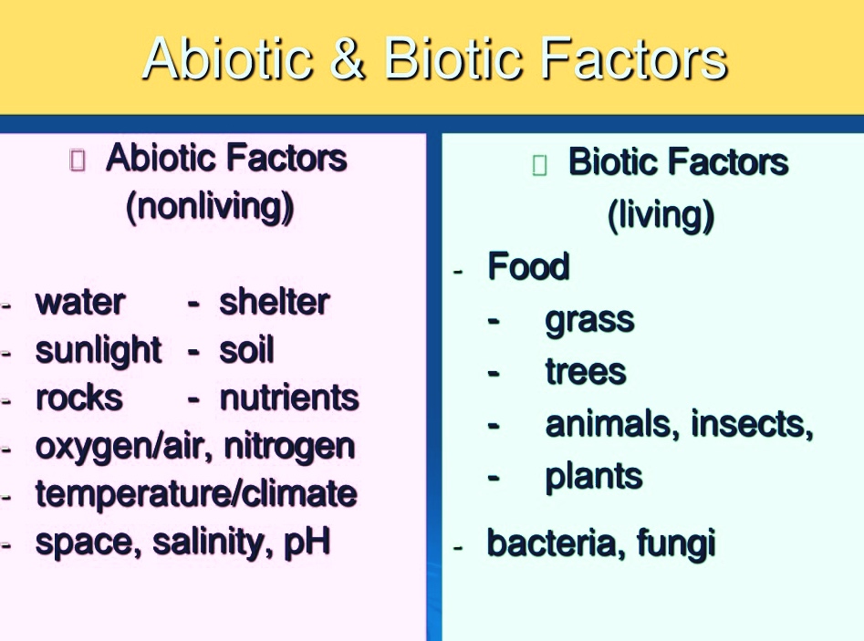 Abiotic versus biotic